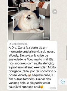 WhatsApp Image 2025-03-10 at 18.57.23 (1)