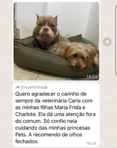 WhatsApp Image 2025-03-10 at 18.57.23 (2)