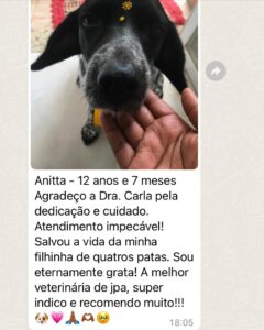 WhatsApp Image 2025-03-10 at 18.57.23 (3)