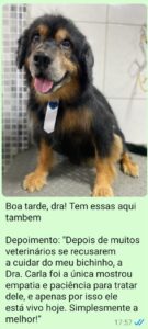 WhatsApp Image 2025-03-10 at 20.53.11