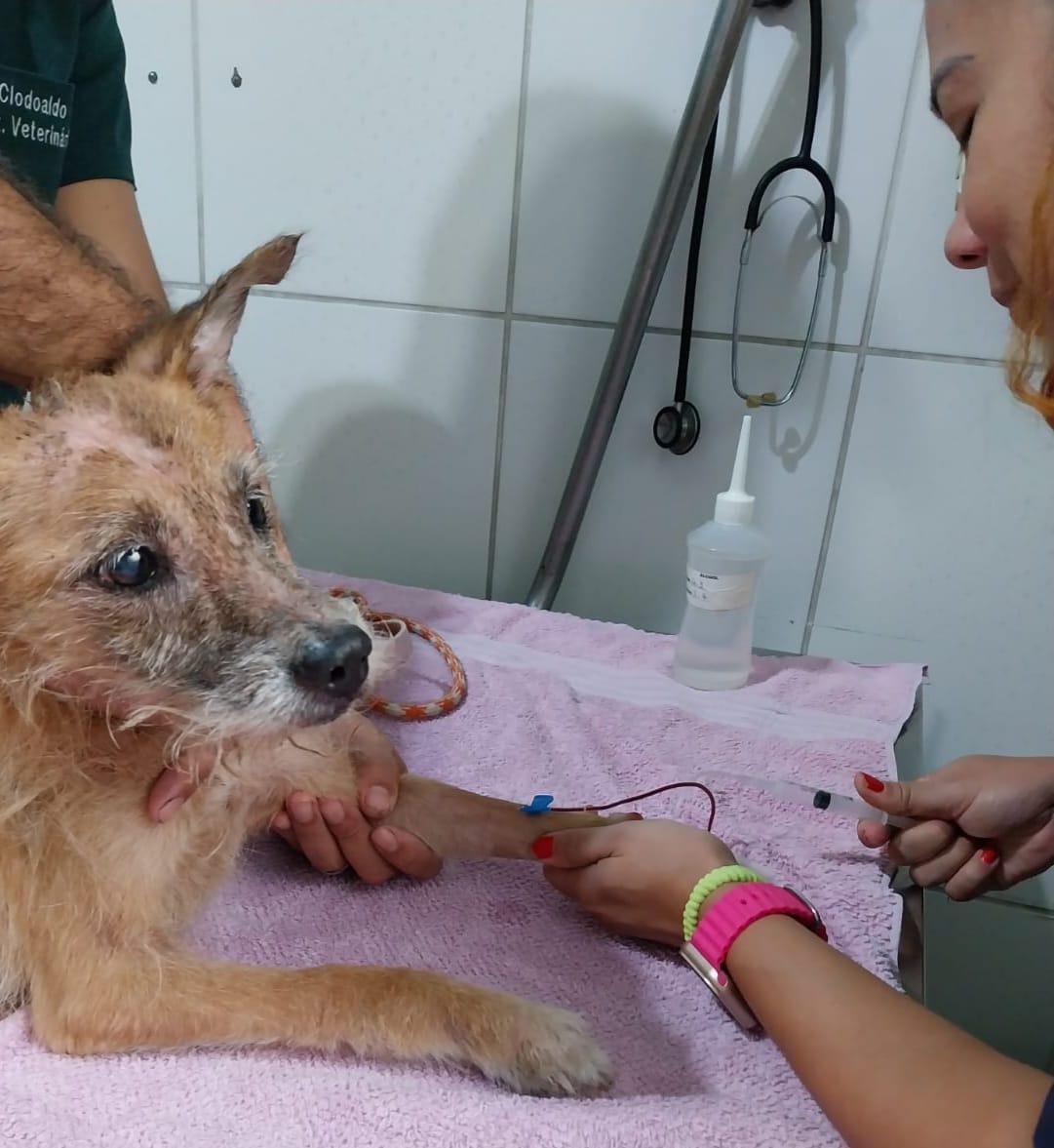 WhatsApp Image 2025-03-11 at 10.10.42 (1)