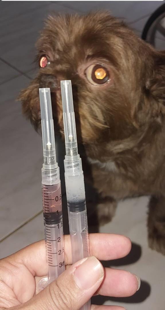 WhatsApp Image 2025-03-11 at 10.12.34